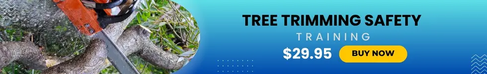 Tree Trimming Safety Tree Trimming Safety