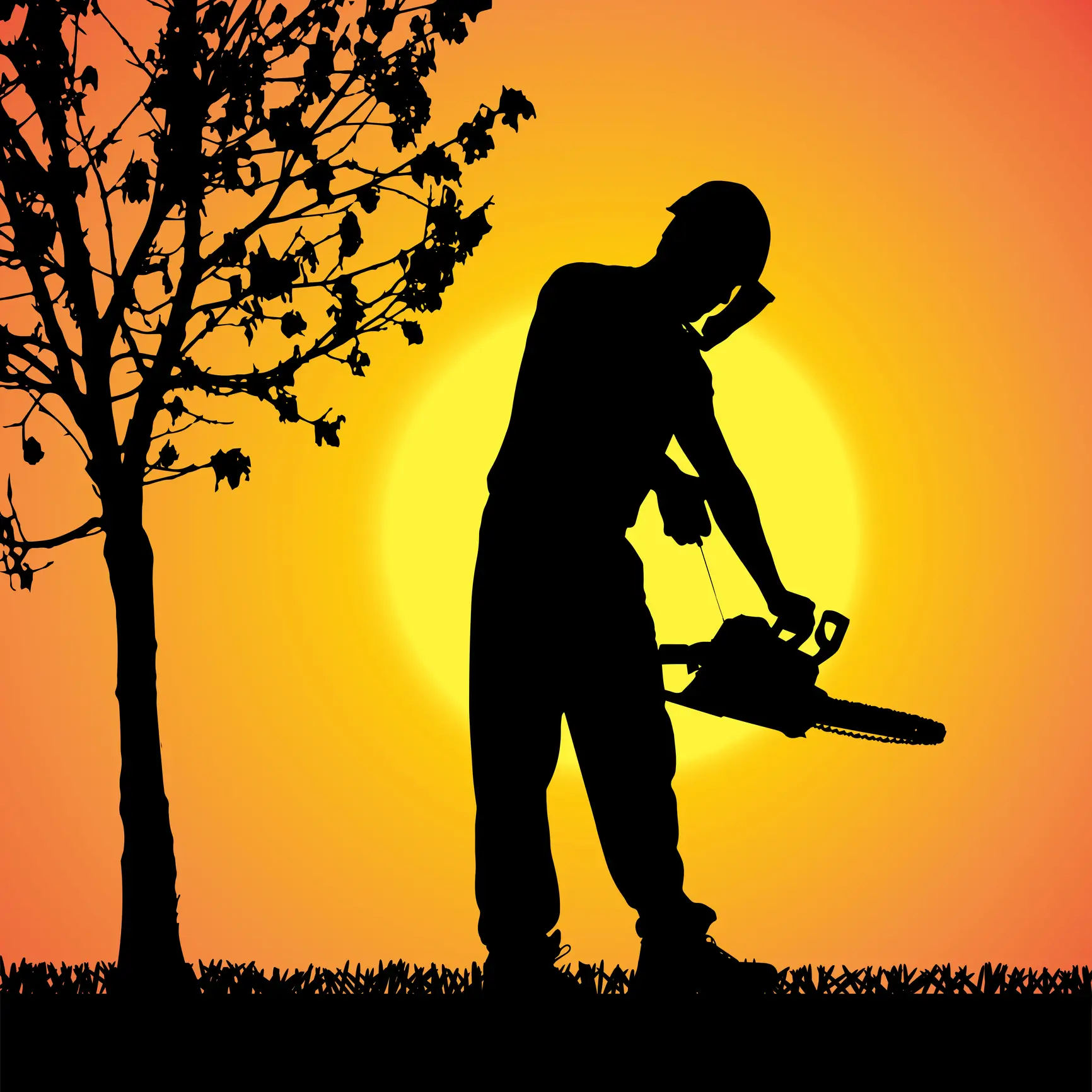 Safe Work Practices